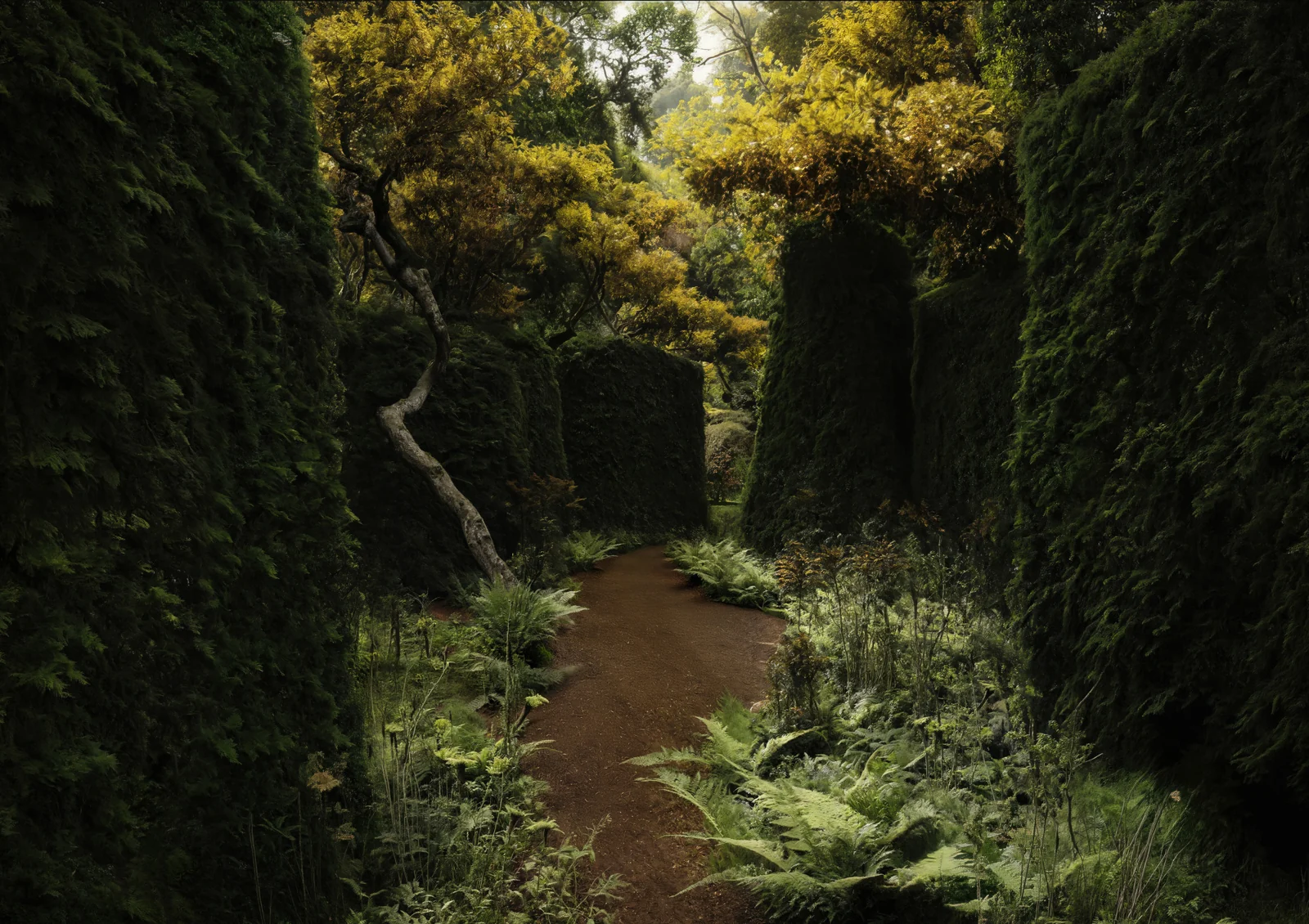 Secret Garden